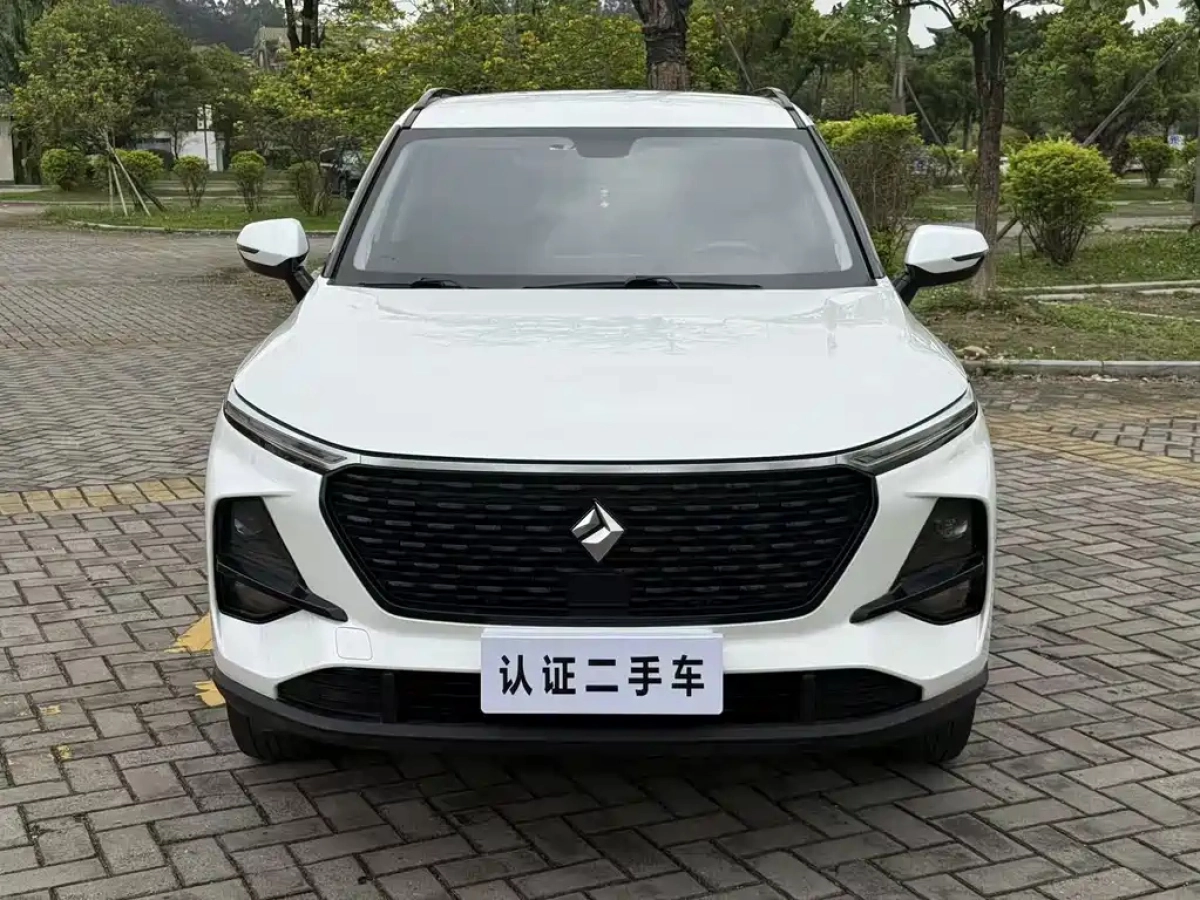 BAOJUN RS-3