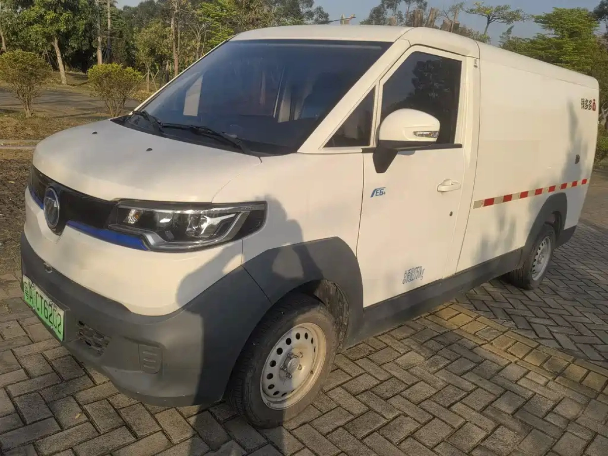 FOTON OTHER  2024