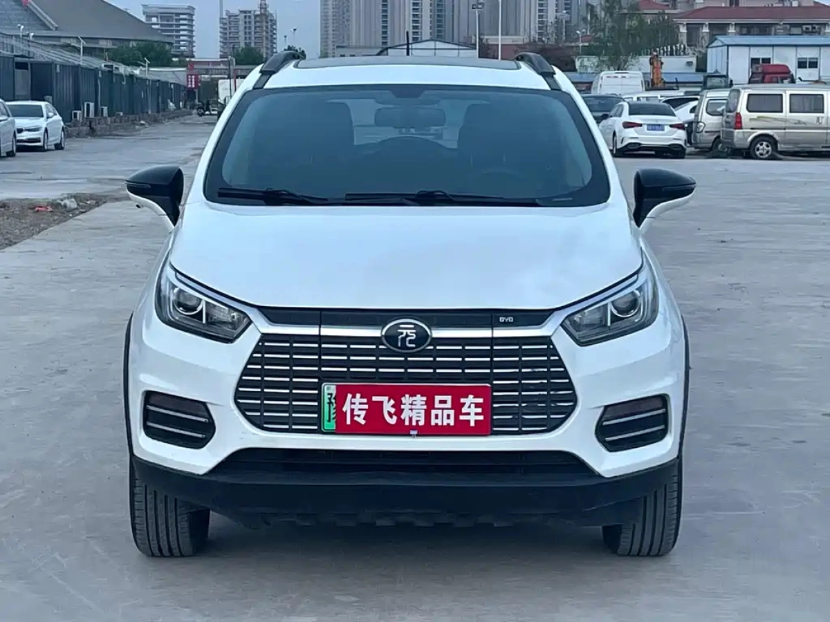 BYD YUAN NEW ENERGY  2019