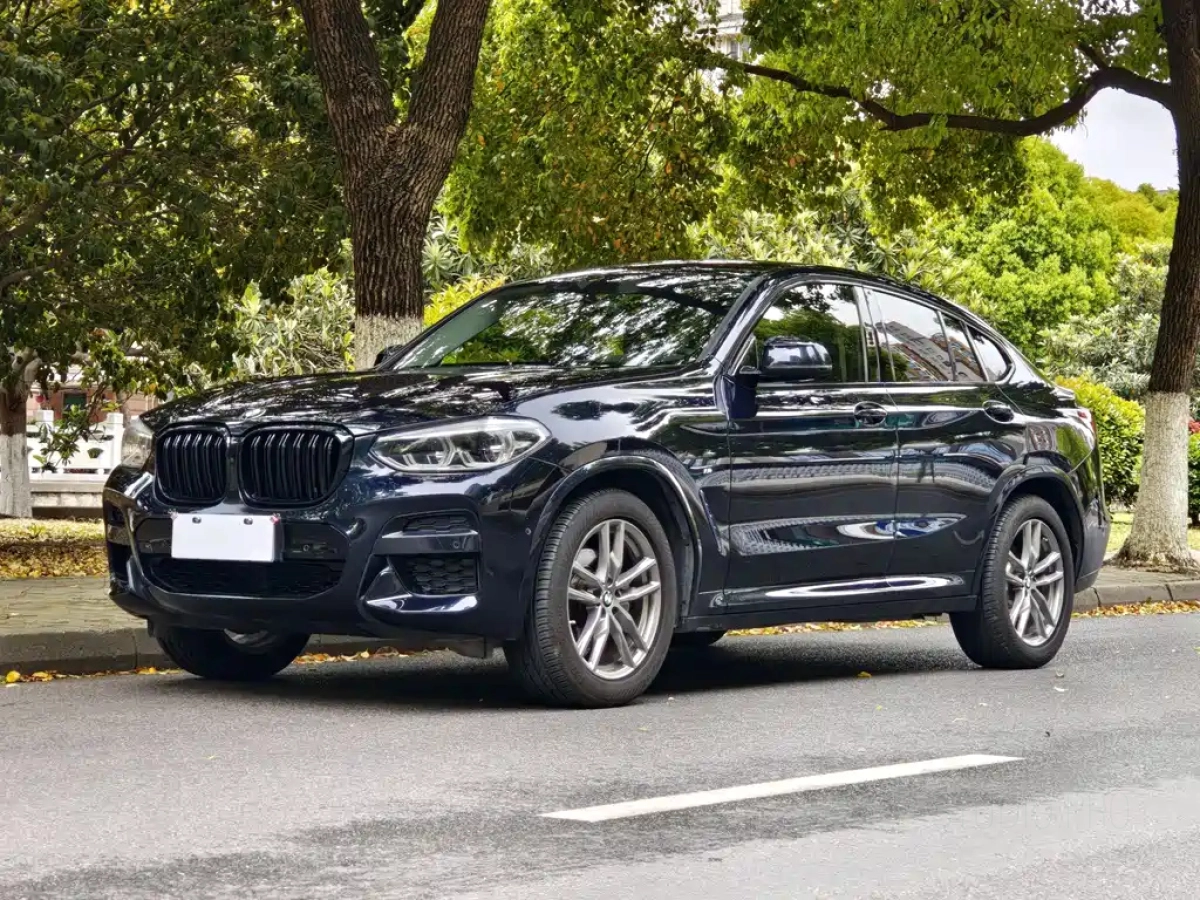 BMW X4  2020