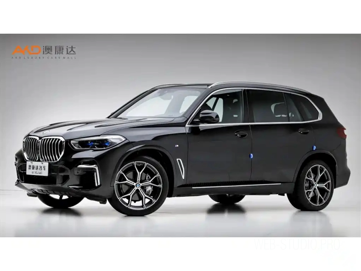 BMW X5  2023