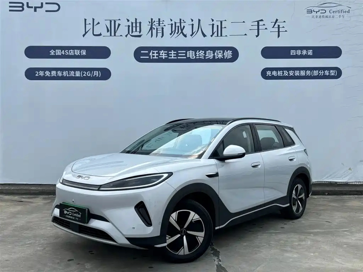 BYD OTHER  2025