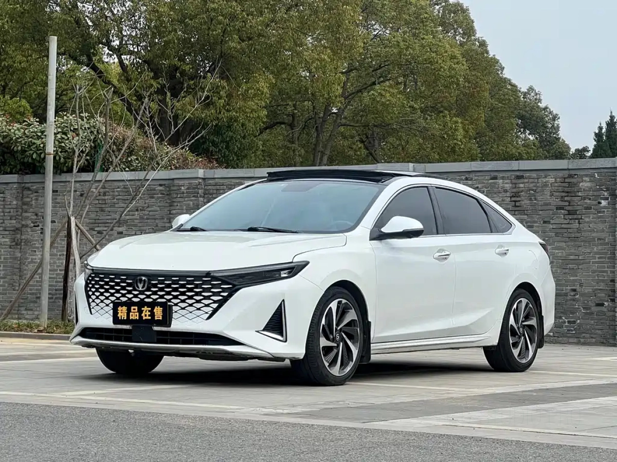 CHANGAN RAETON PLUS  2022