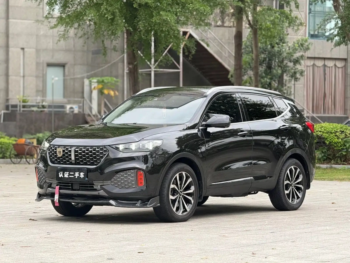 WEY VV6  2019