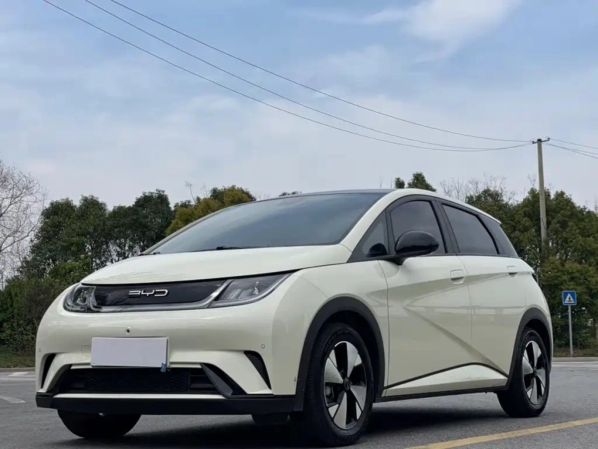 BYD DOLPHIN  2024