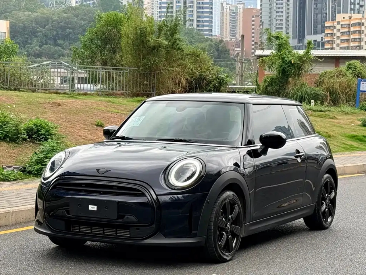MINI OTHER  2024
