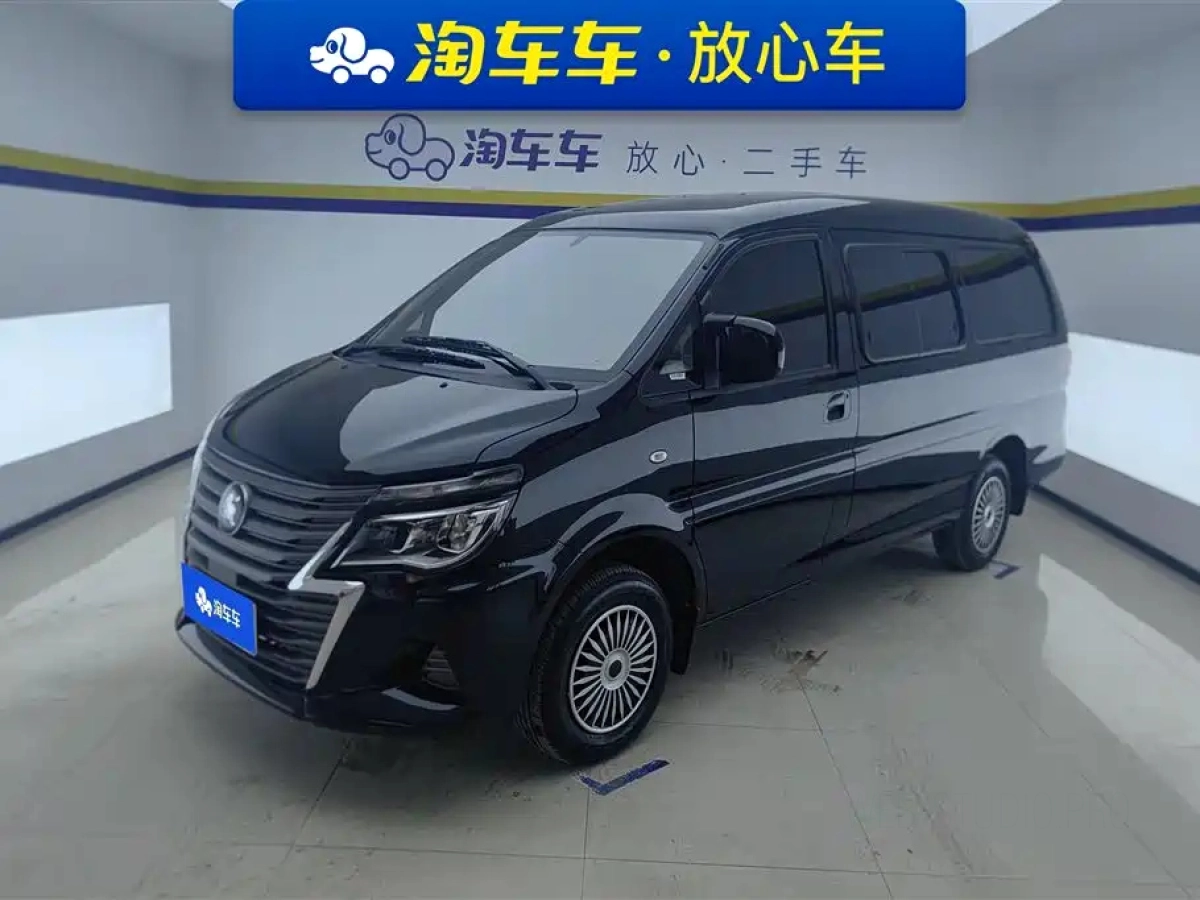 DONGFENG LINGZHI  2024