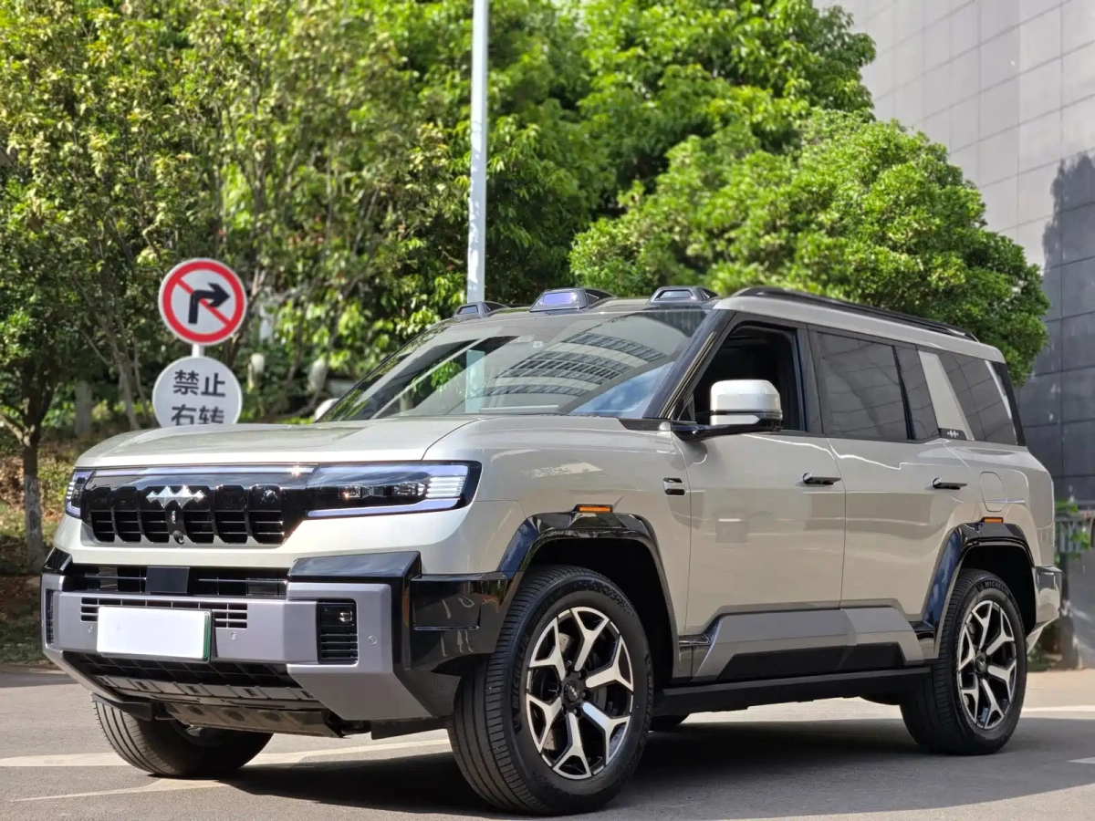 BYD FANGCHENG BAO 8  2024