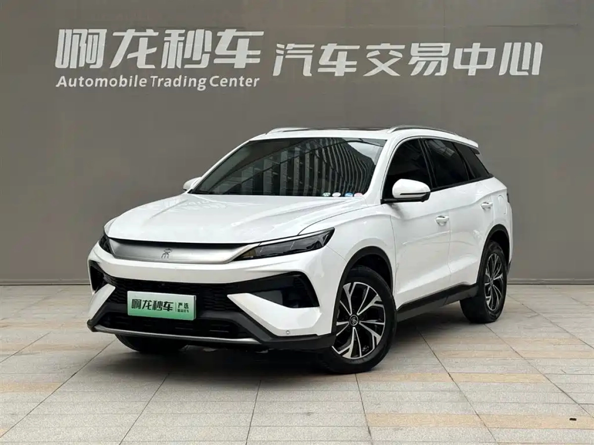 BYD SONG PRO NEW ENERGY  2025