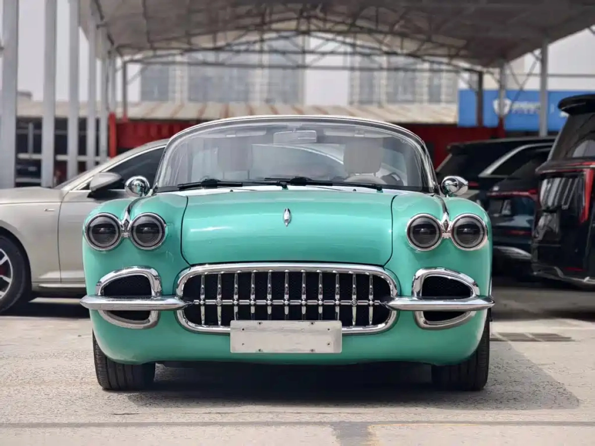 OTHER SS DOLPHIN  2024