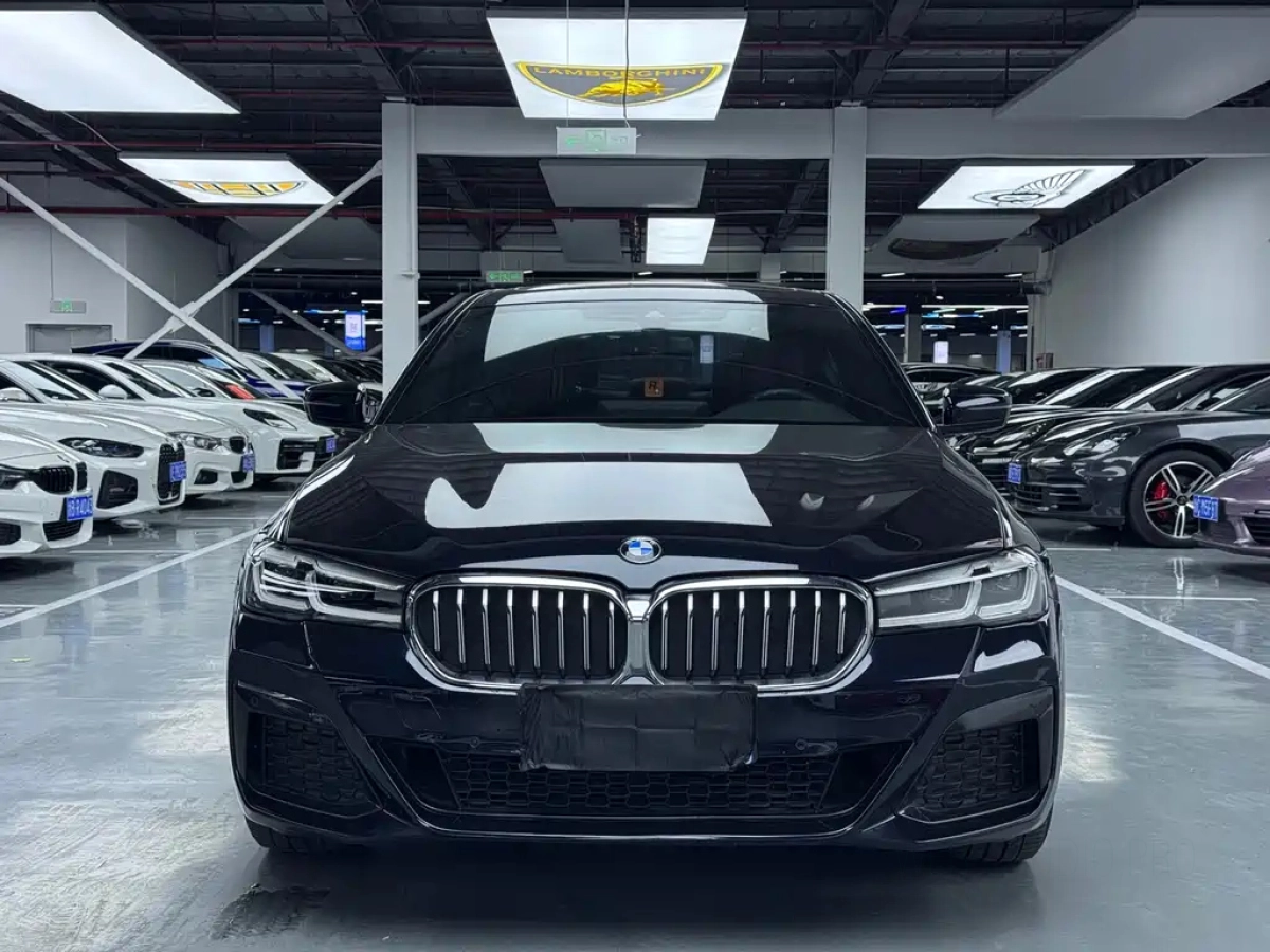 BMW 5 SERIES