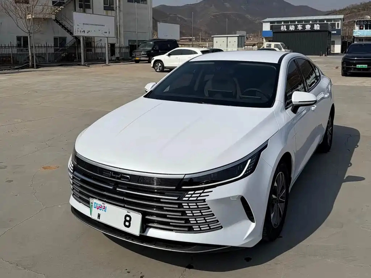 BYD DESTROYER 05  2024