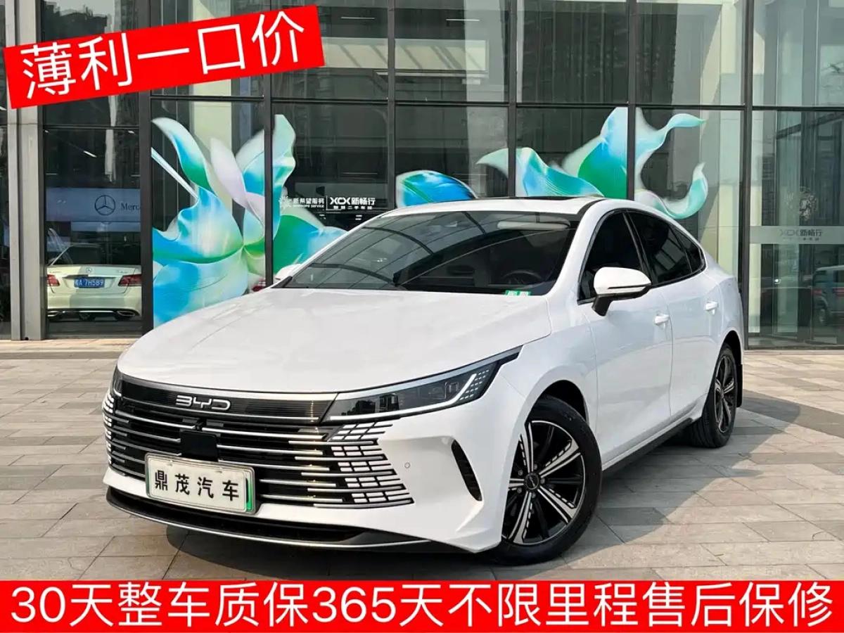 BYD DESTROYER 05