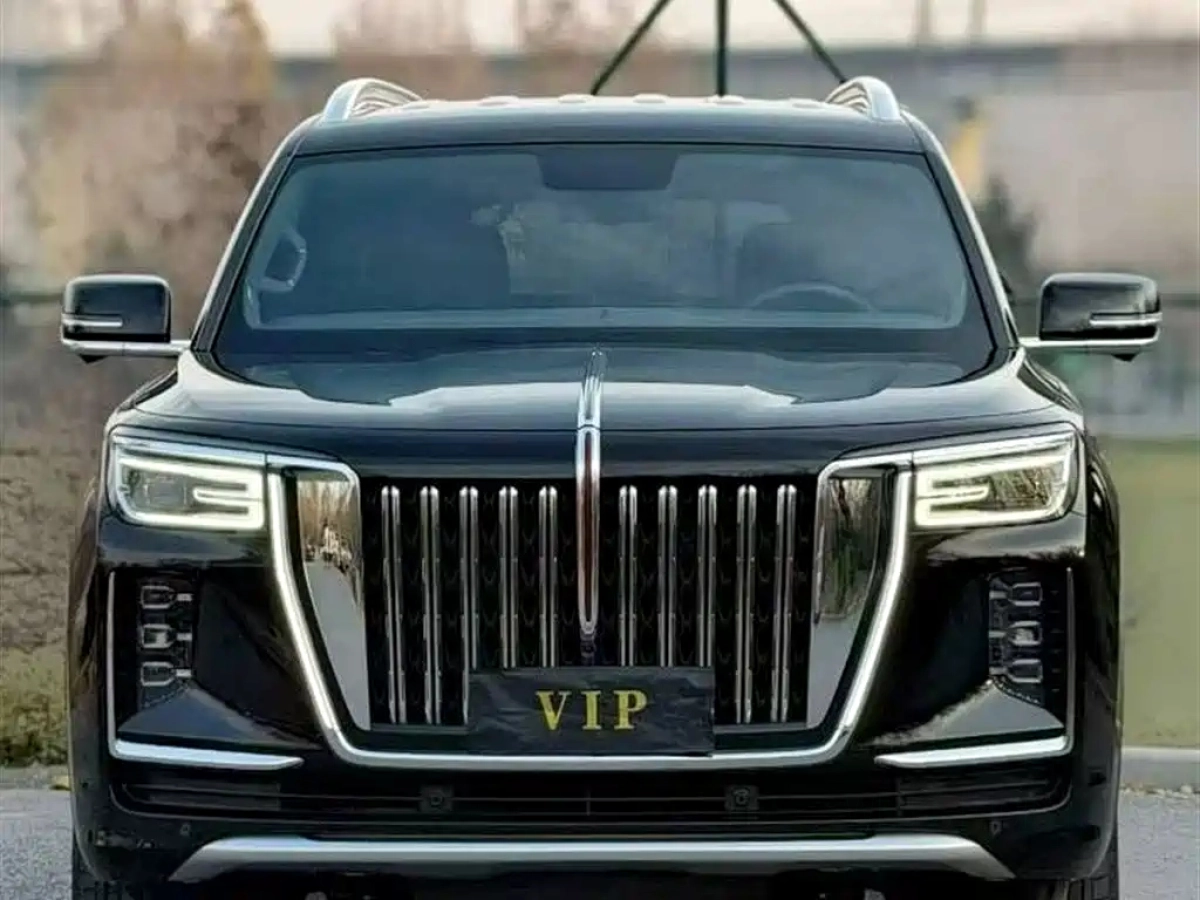 HONGQI GUOYAO  2025