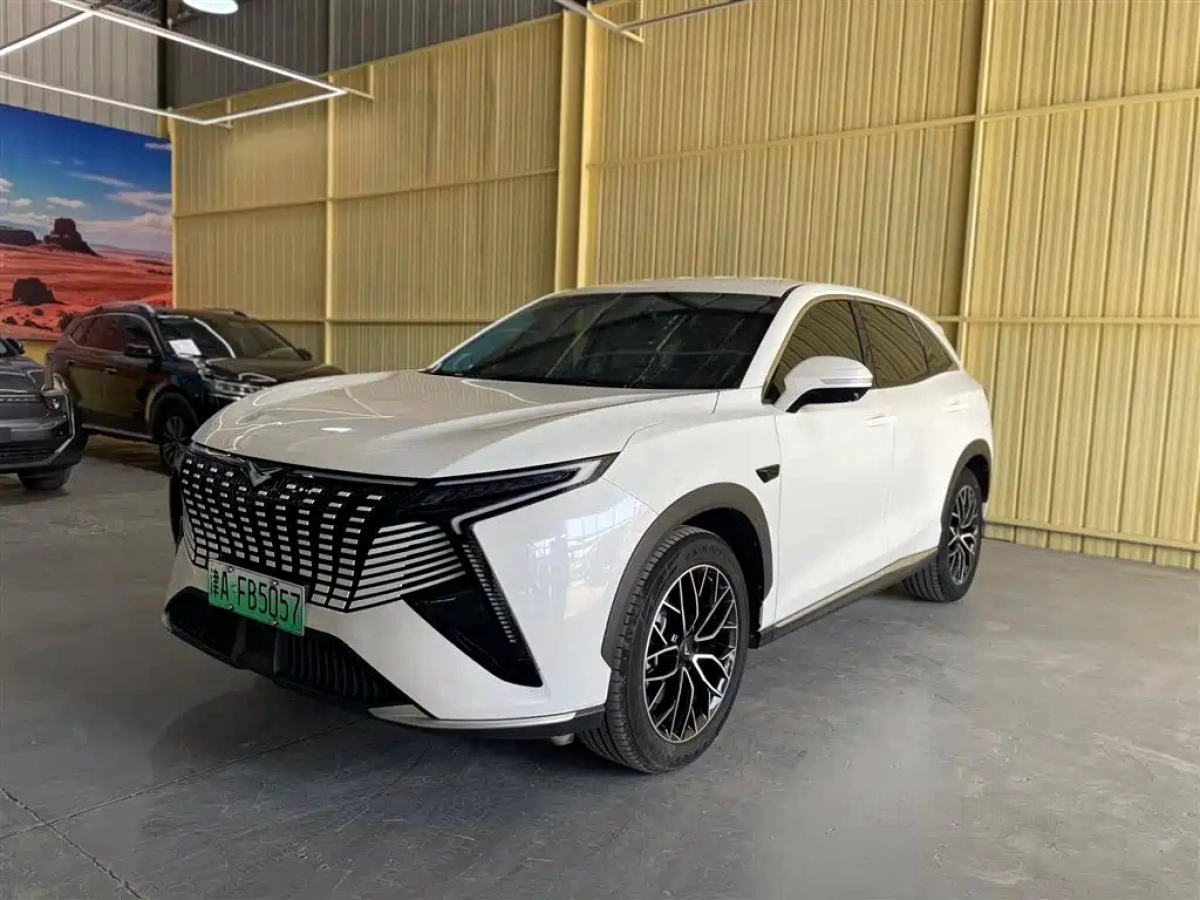 COWIN KUNLUN EV  2024