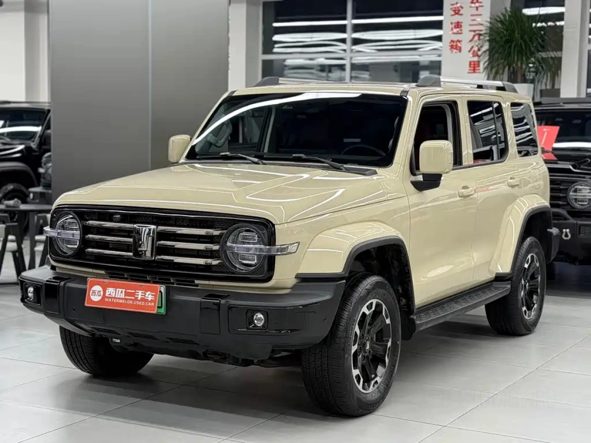 TANK 300 NEW ENERGY  2025