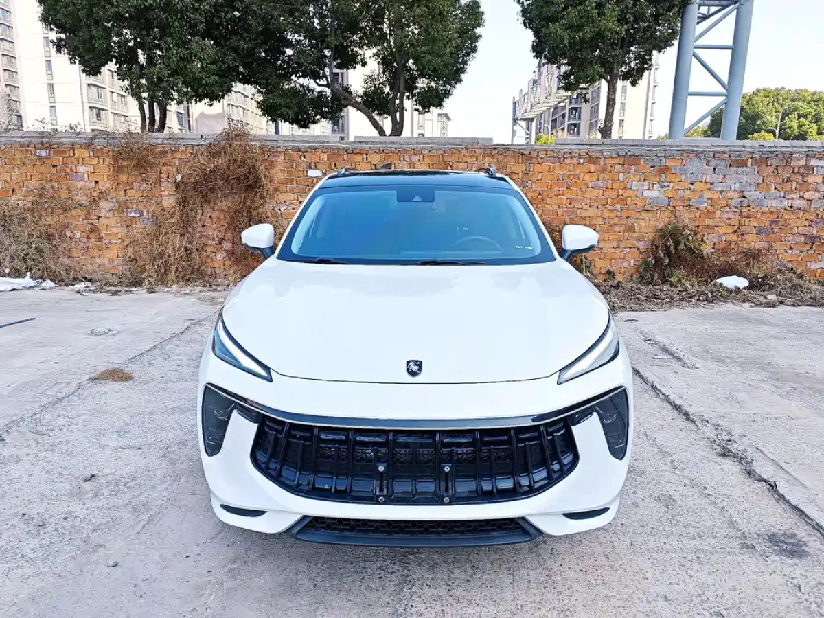 DONGFENG T5 EVO  2021