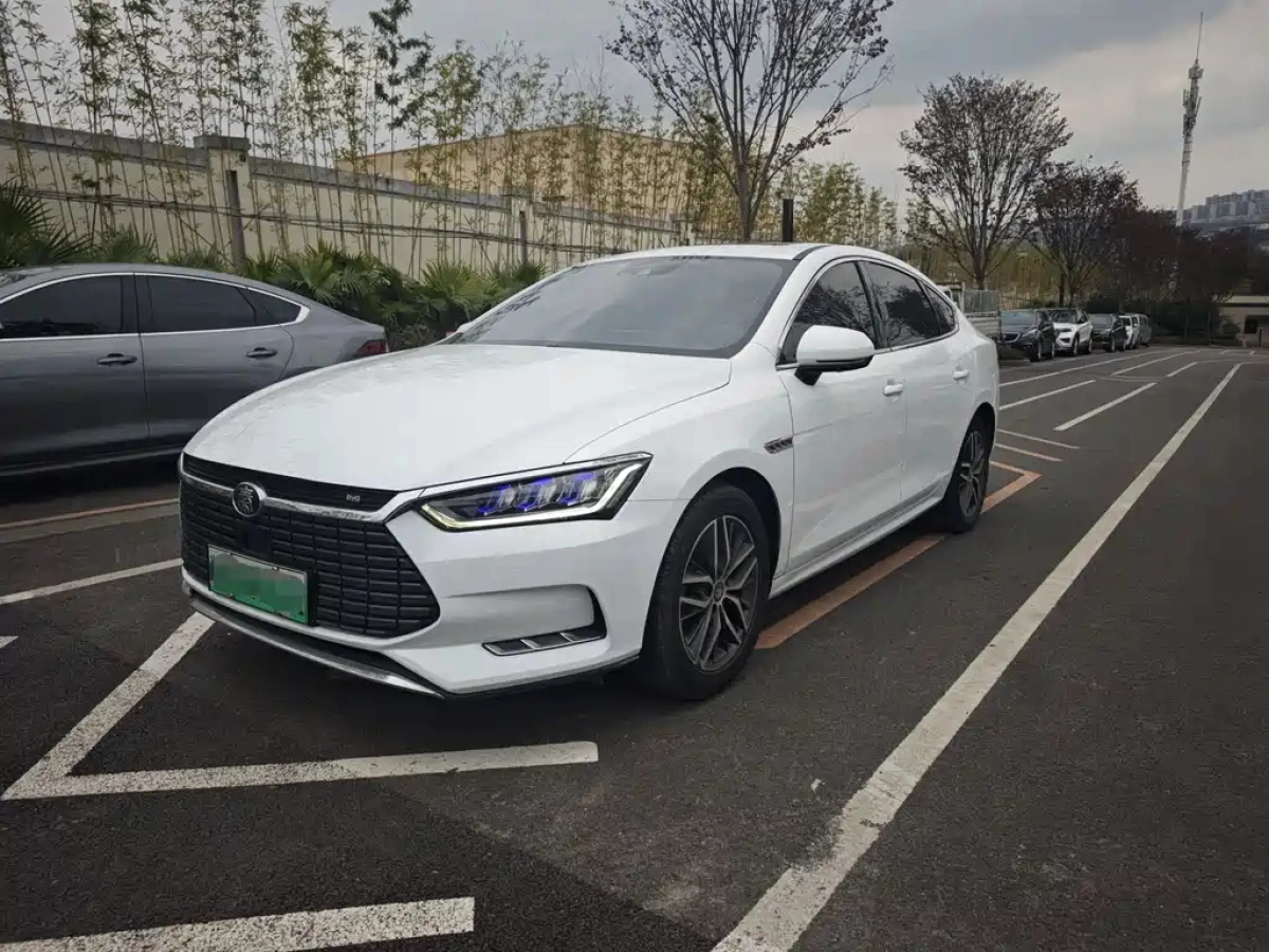 BYD QIN PRO NEW ENERGY  2019