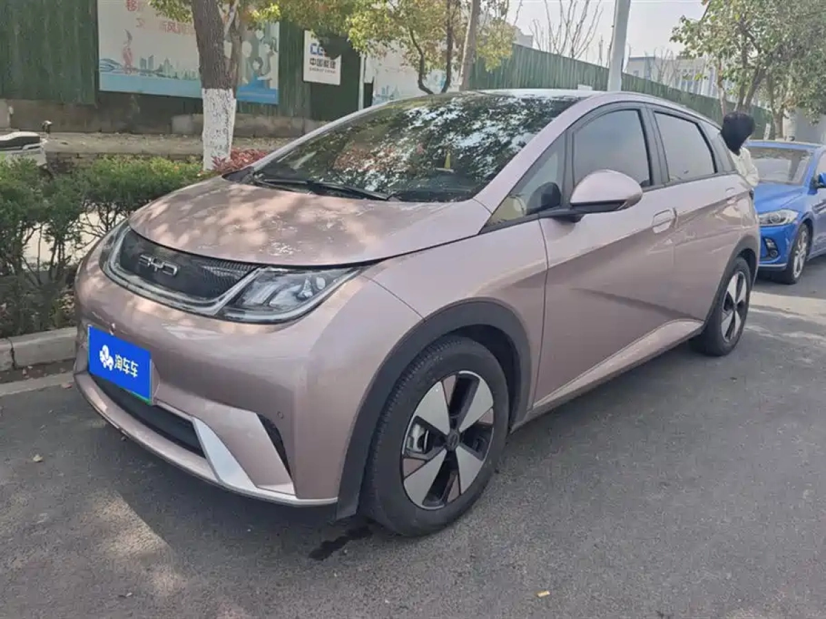 BYD DOLPHIN  2024