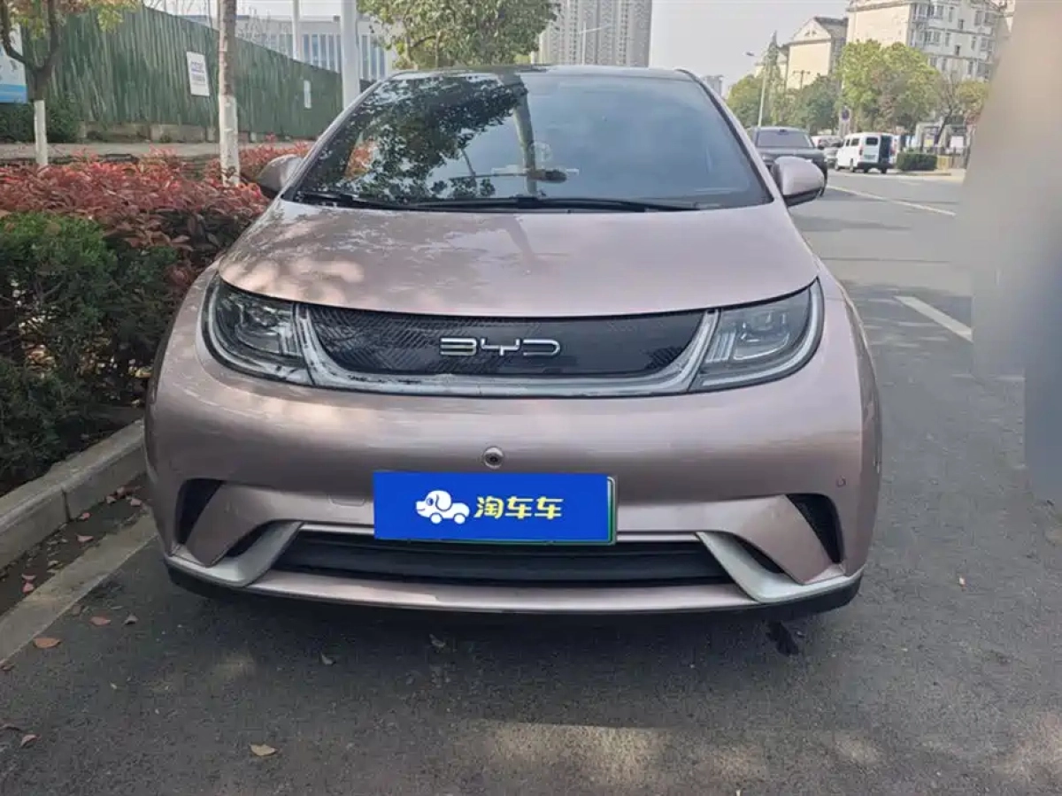 BYD DOLPHIN