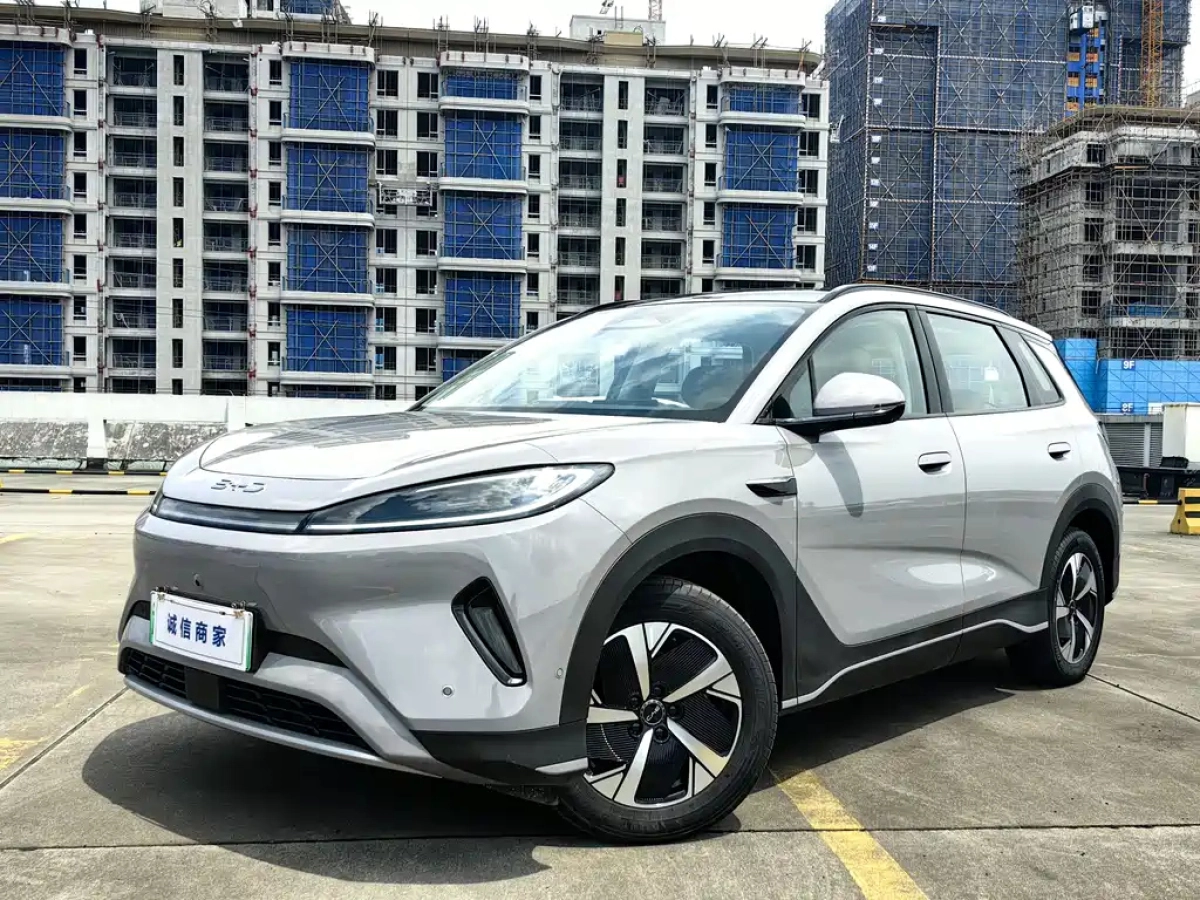 BYD OTHER  2025