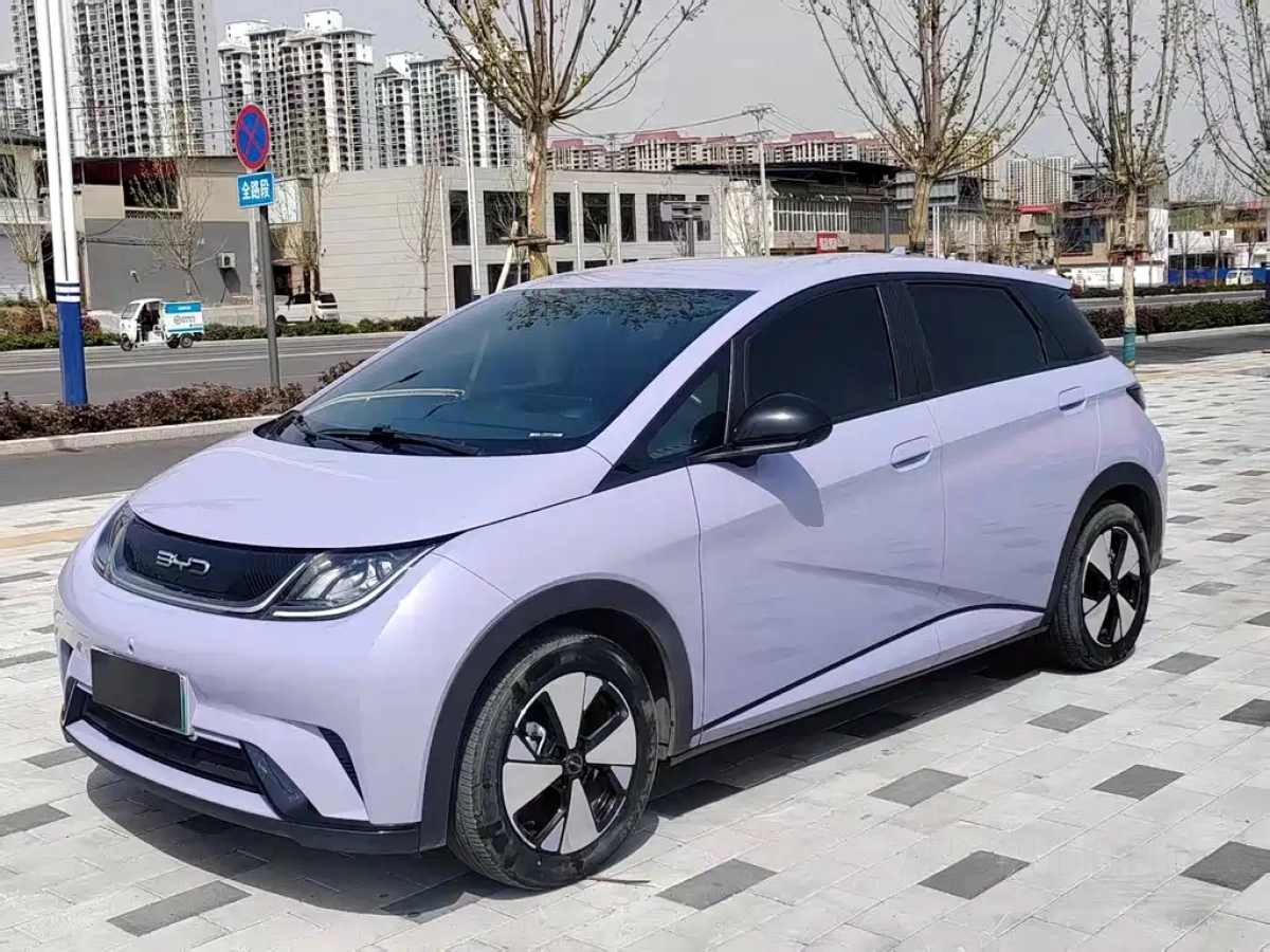 BYD DOLPHIN  2024