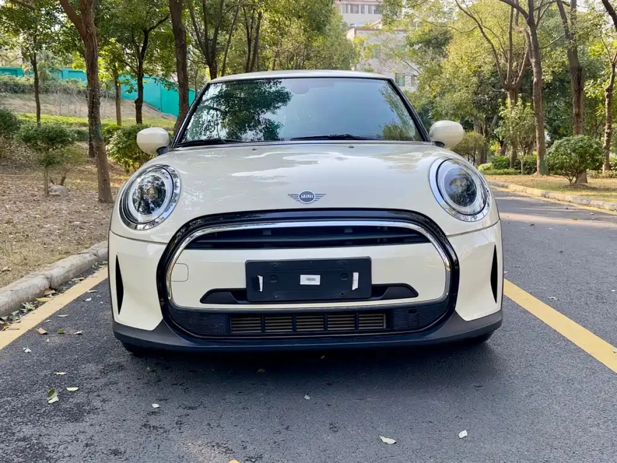 MINI OTHER