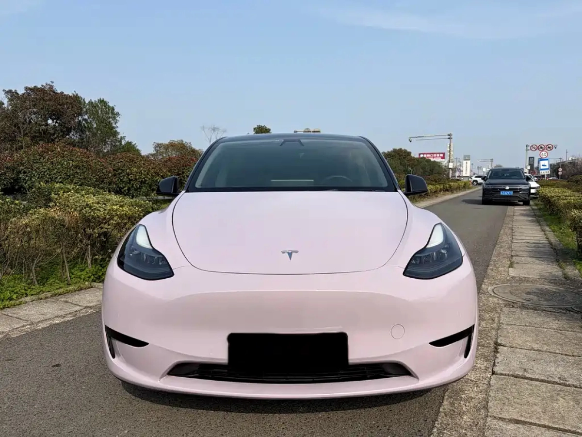 TESLA MODEL Y