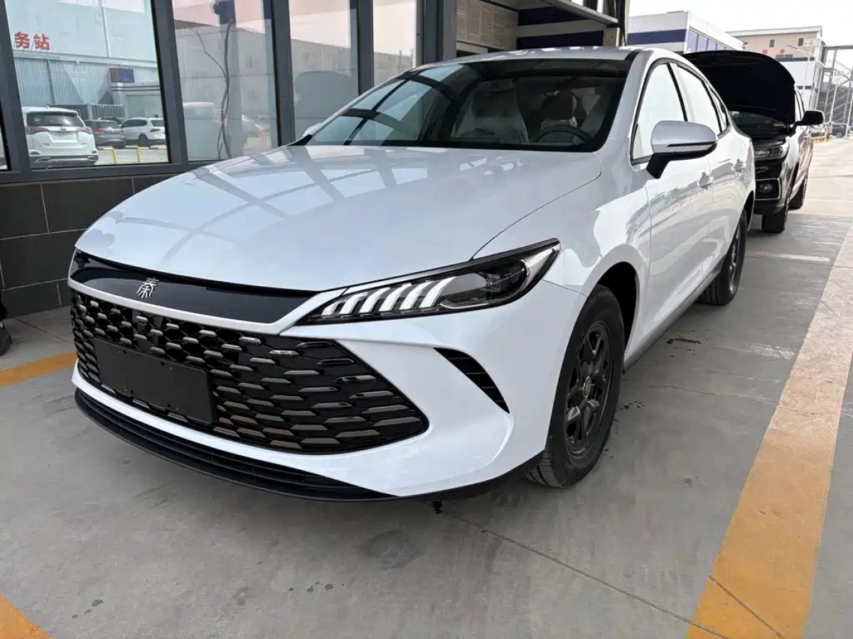 BYD QIN PLUS  2026