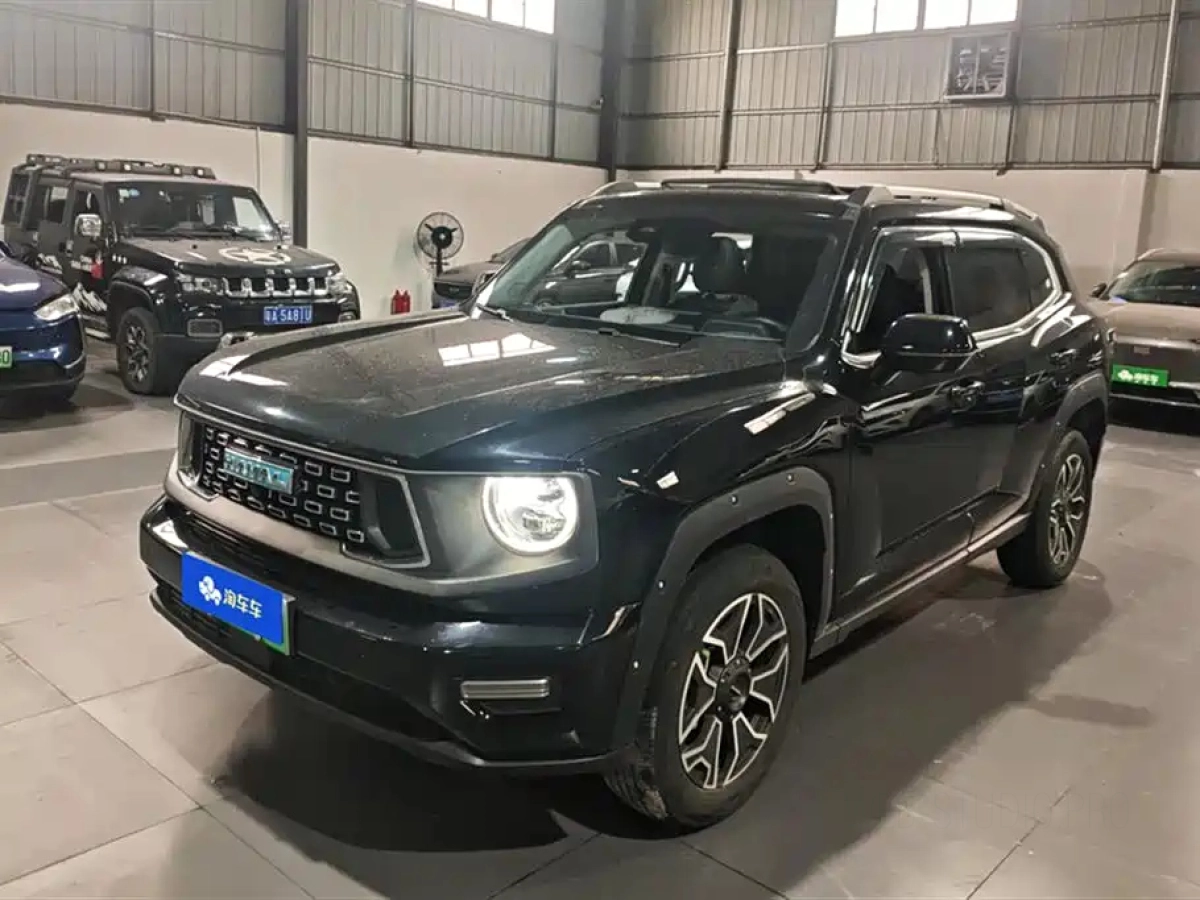 HAVAL DAGOU II NEW ENERGY  2024