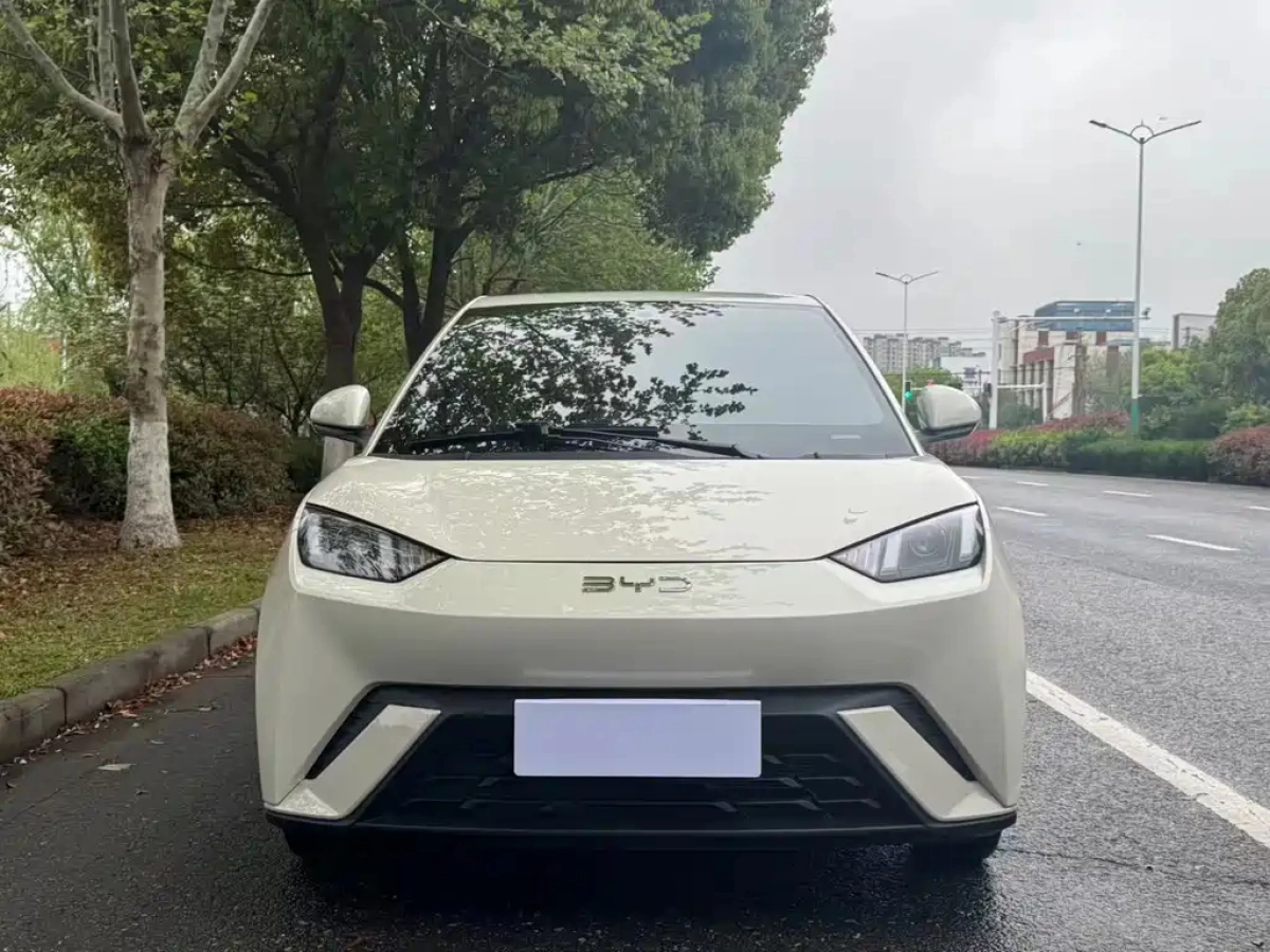 BYD SEAGULL