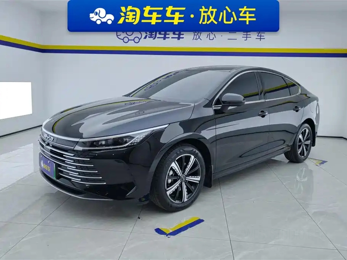 BYD DESTROYER 05  2024