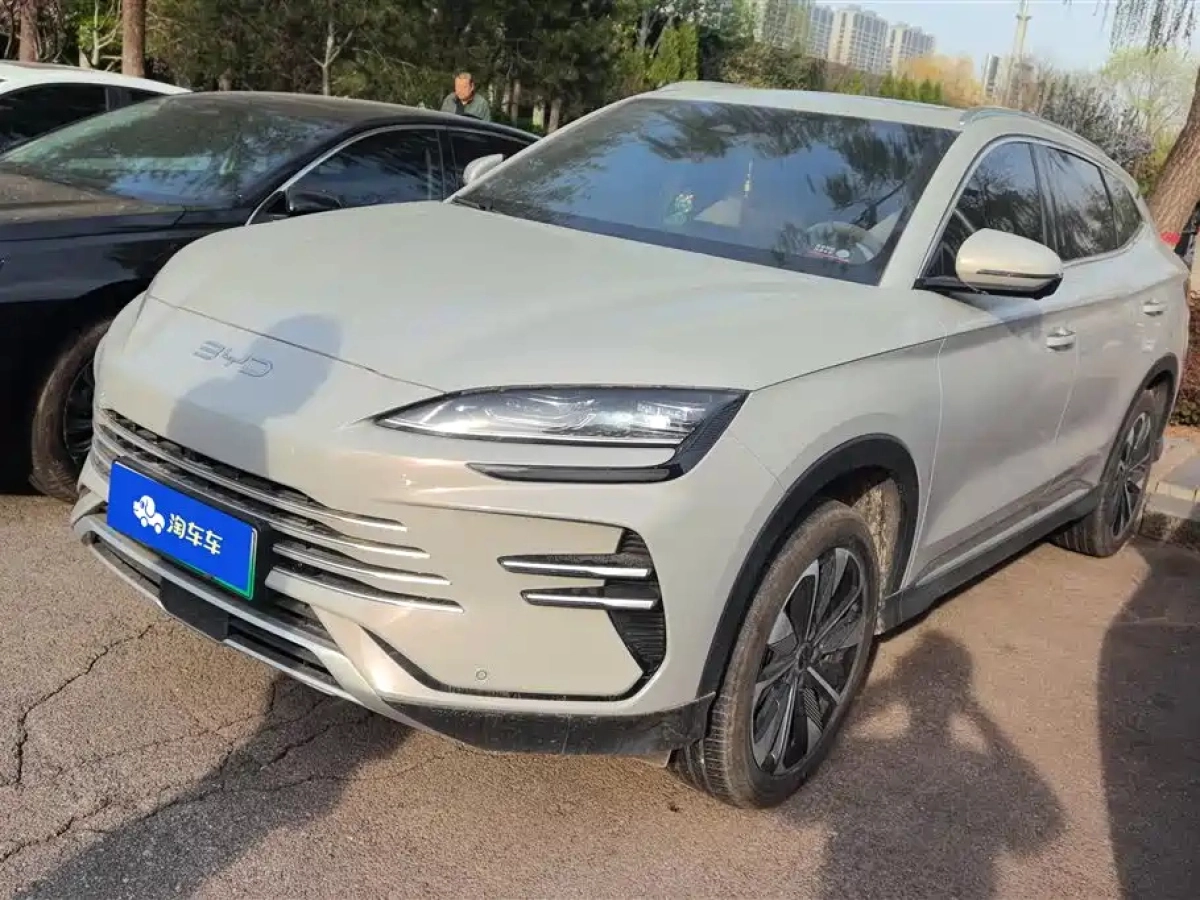 BYD SONG PLUS NEW ENERGY  2024