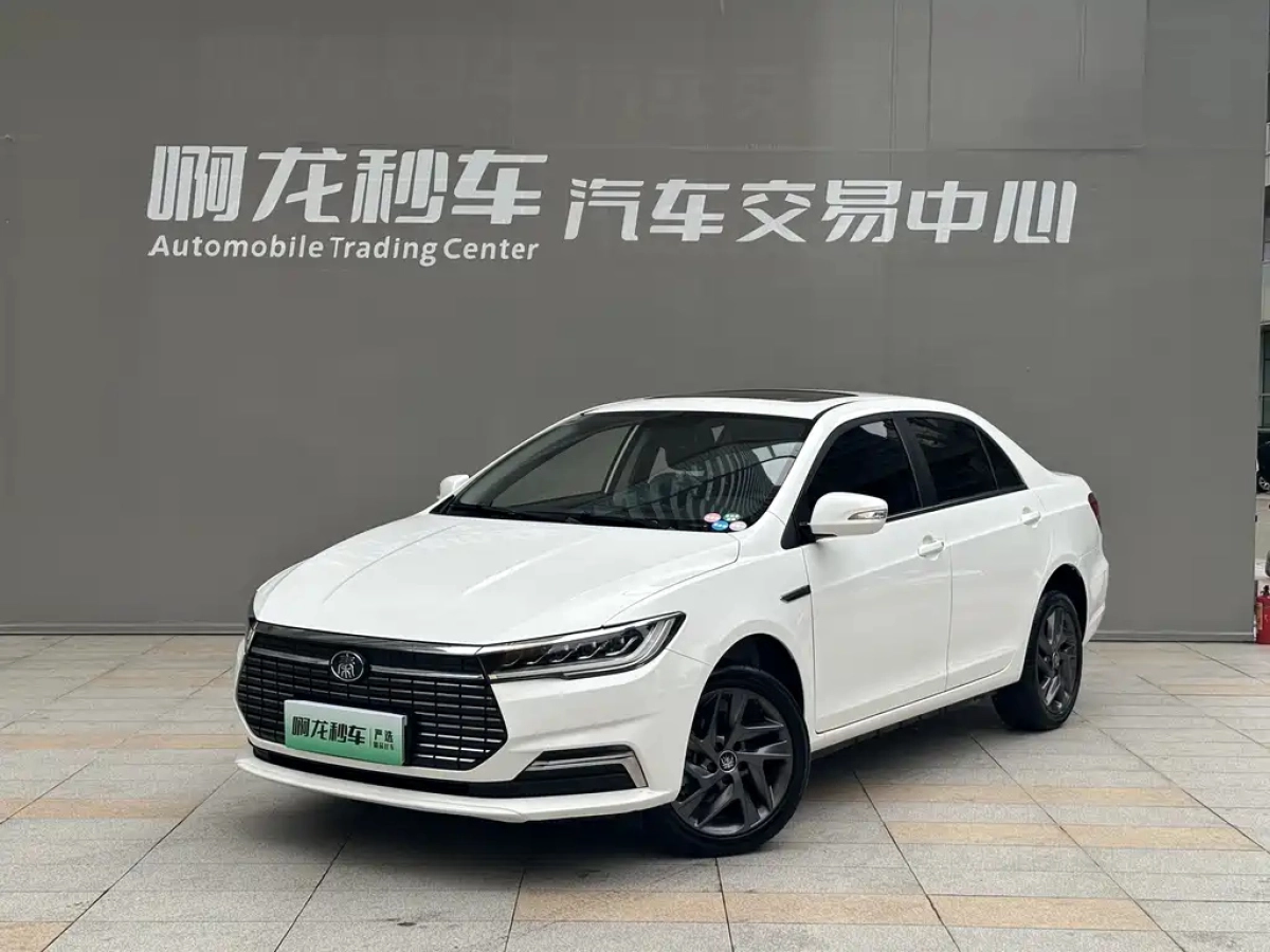 BYD QIN NEW ENERGY  2020