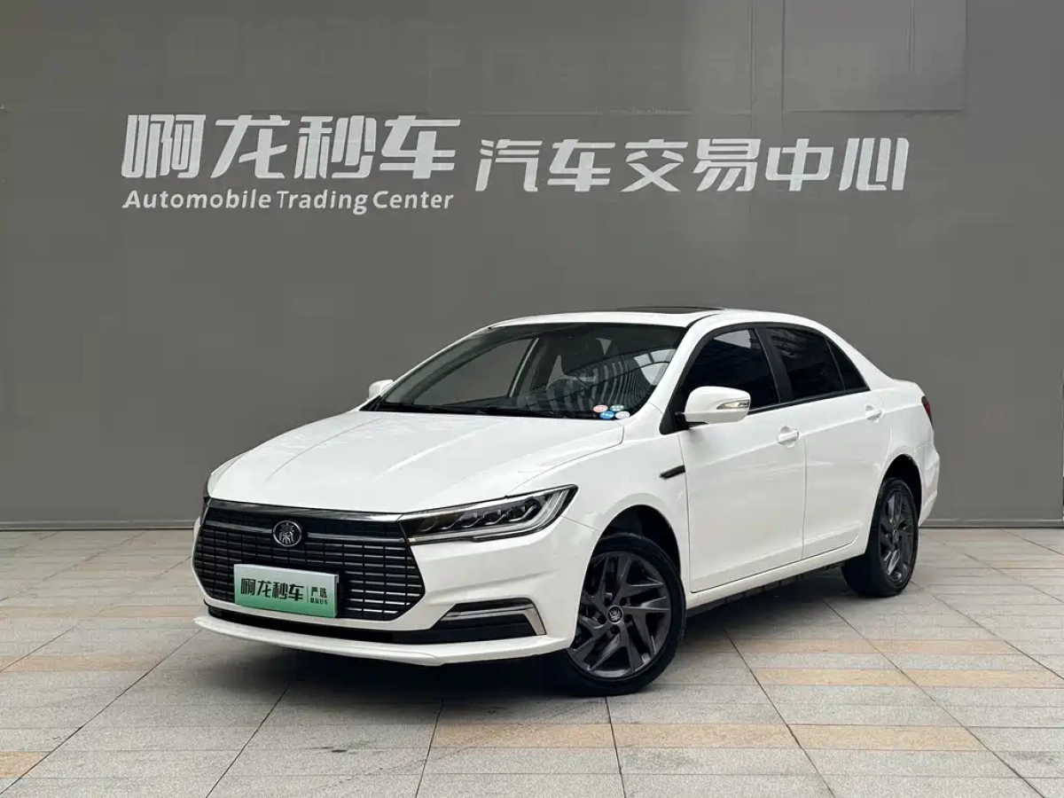 BYD QIN NEW ENERGY