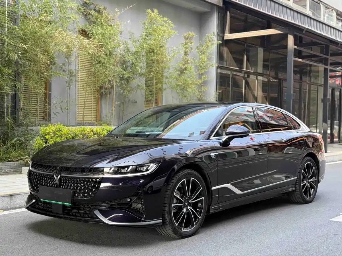 VOYAH ZHUIGUANG  2024