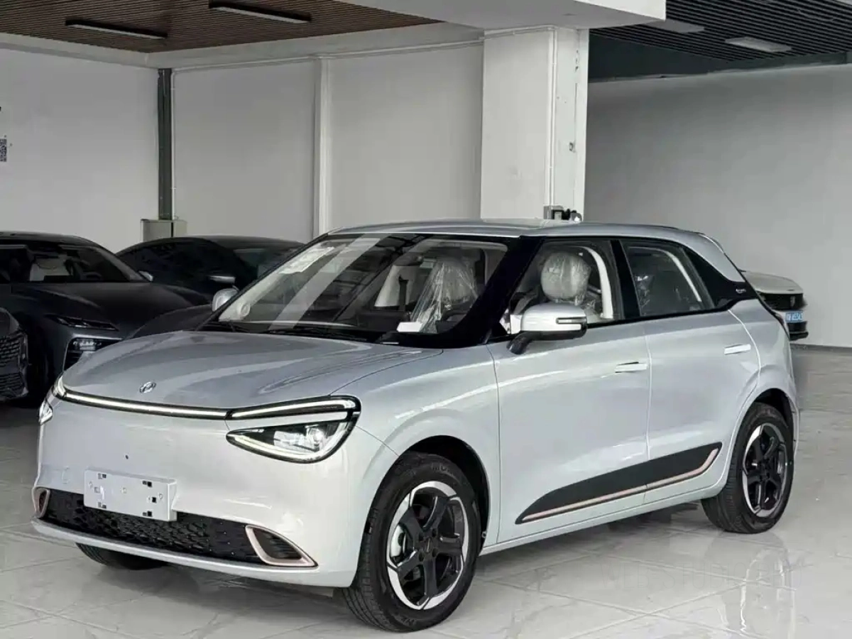 OTHER NAMMI 01  2026