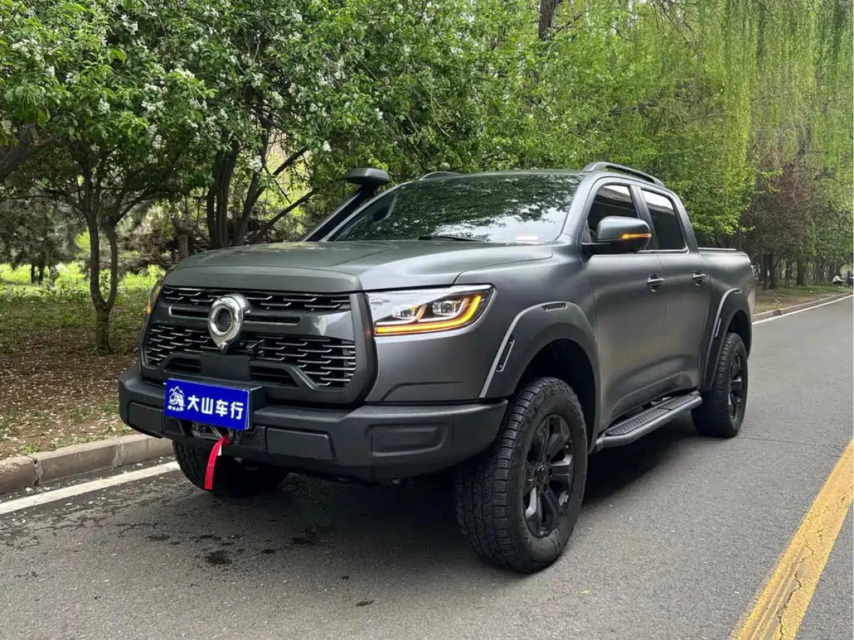 GREAT WALL POER  2025