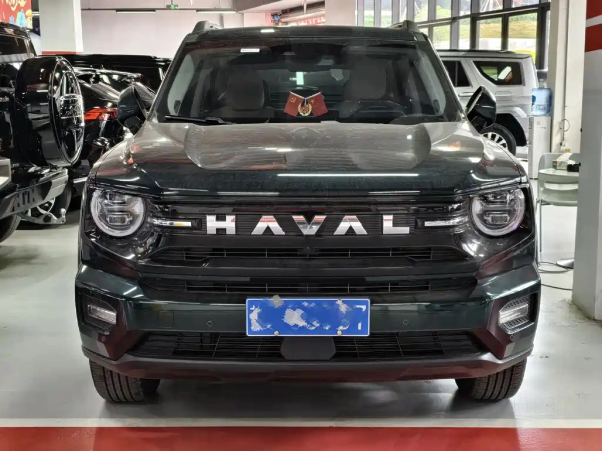 HAVAL DAGOU II