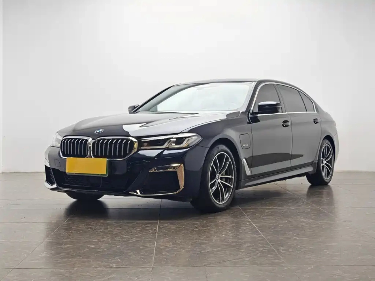 BMW 5 SERIES NEW ENERGY  2021