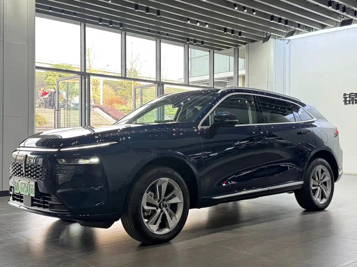 WEY MOCHA NEW ENERGY  2024