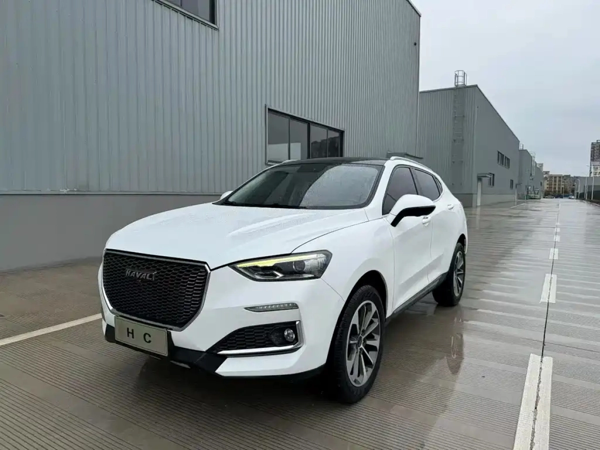 HAVAL F5  2019