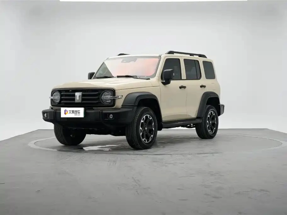 TANK 300 NEW ENERGY  2025