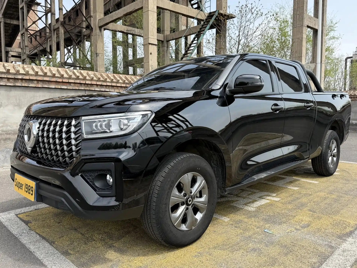 GREAT WALL POER  2024