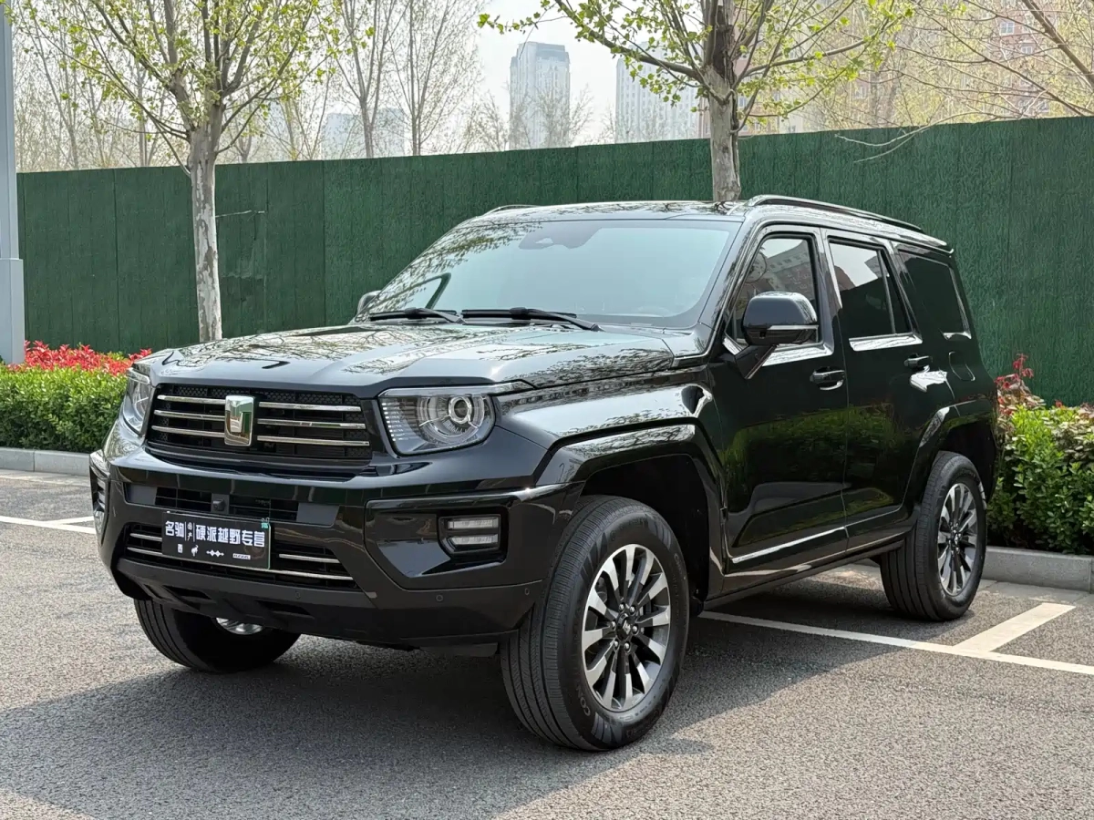 TANK 700 NEW ENERGY  2025