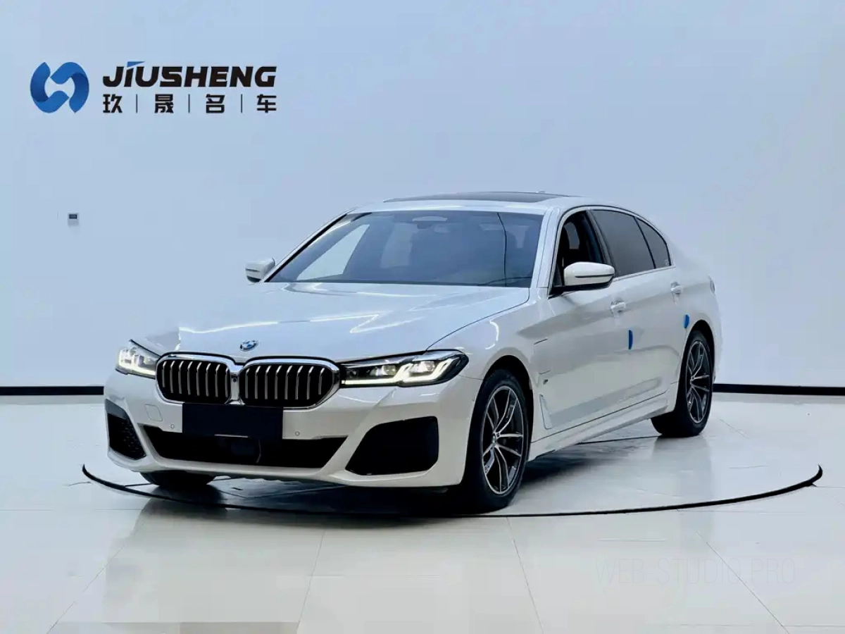 BMW 5 SERIES NEW ENERGY