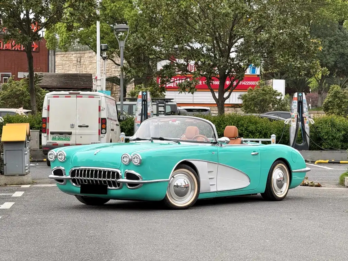 OTHER SS DOLPHIN  2024