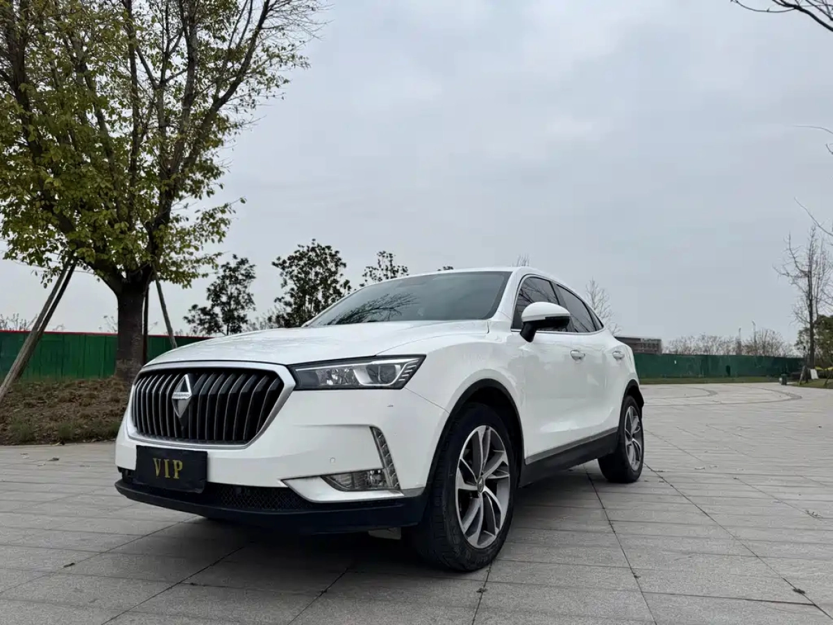 BORGWARD BX6  2019