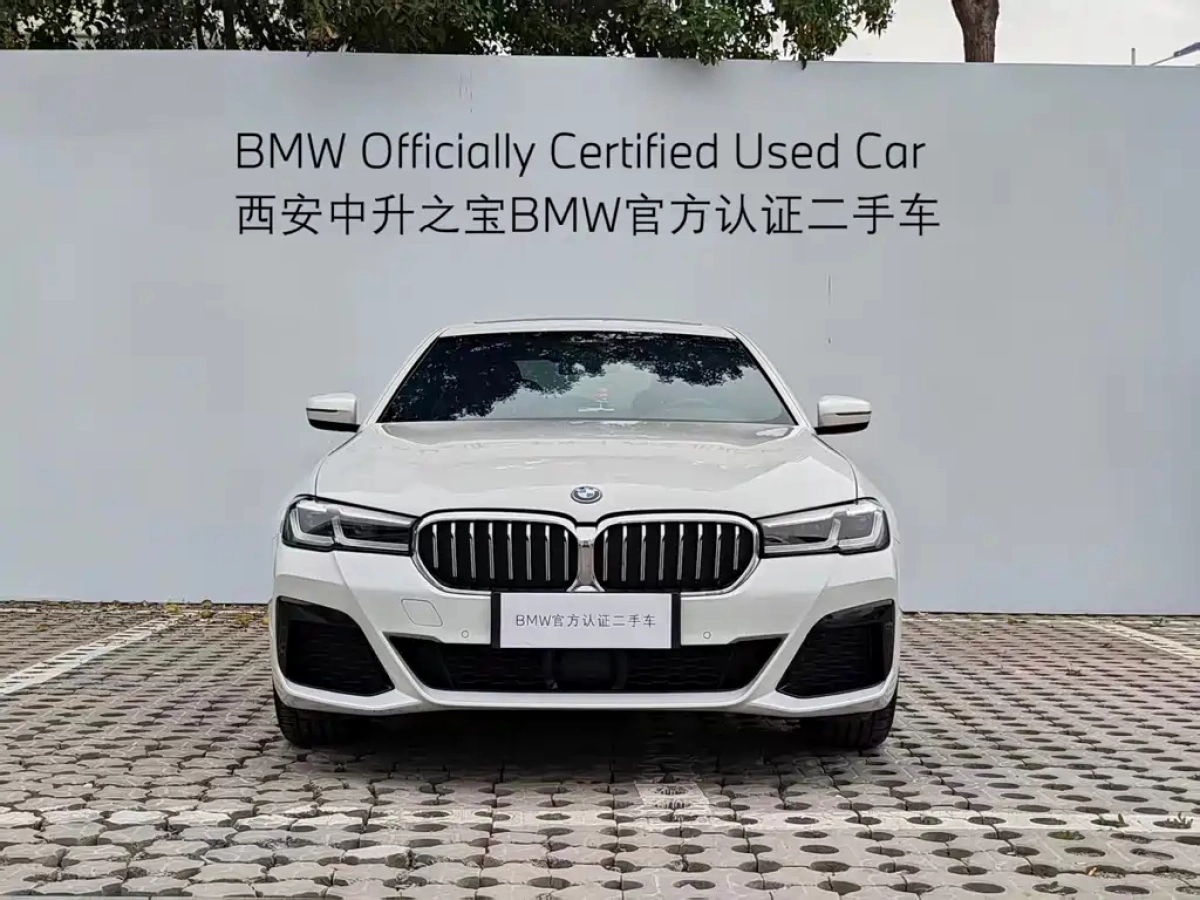 BMW 5 SERIES NEW ENERGY