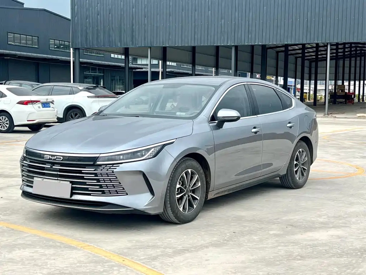 BYD DESTROYER 05  2024